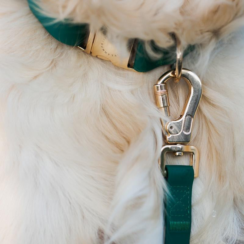 4-In-1 Convertible Hands Free Cloud Dog Leash, 8.5-Ft Long, 3/4-In Wide