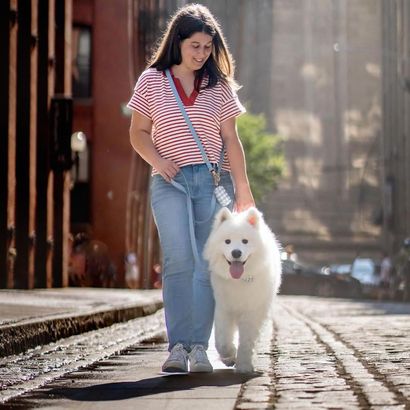 4-In-1 Convertible Hands Free Cloud Dog Leash, 8.5-Ft Long, 3/4-In Wide