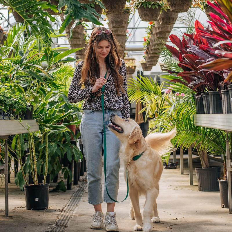4-In-1 Convertible Hands Free Cloud Dog Leash, 8.5-Ft Long, 3/4-In Wide