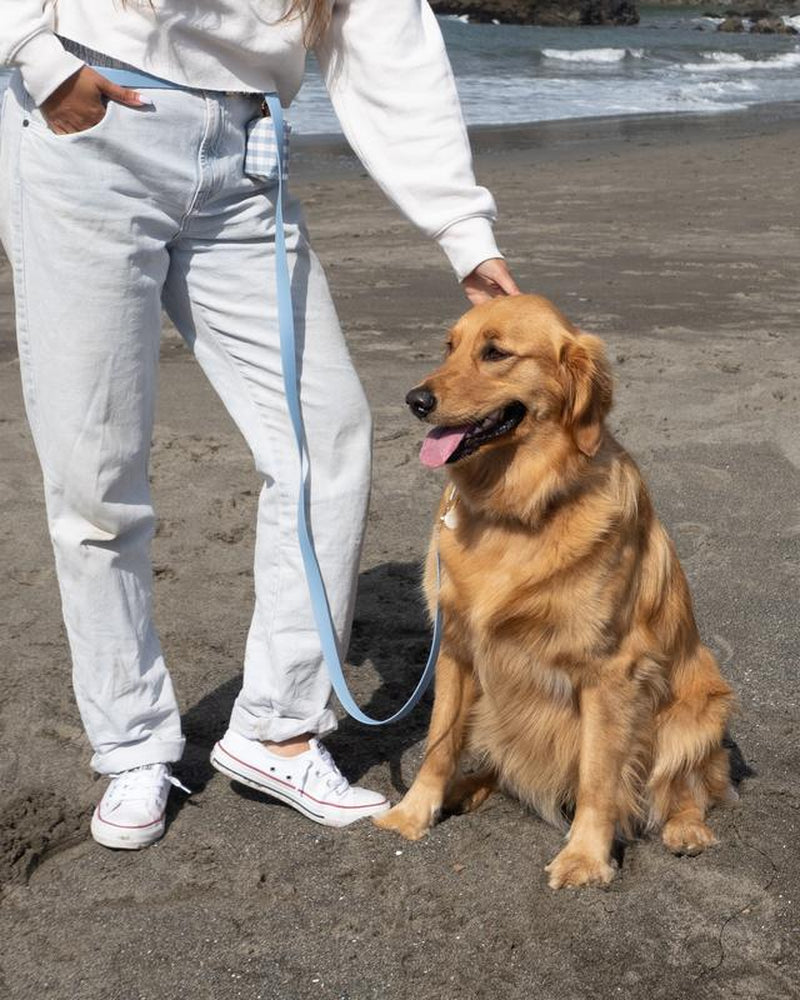 4-In-1 Convertible Hands Free Cloud Dog Leash, 8.5-Ft Long, 3/4-In Wide