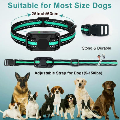 Rechargeable Dog Training Collar, 3300Ft Remote Control Dog Training Collar with Adjustable Nylon Strap, Pet Training Accessories for Small to Large Dogs, Pet Products