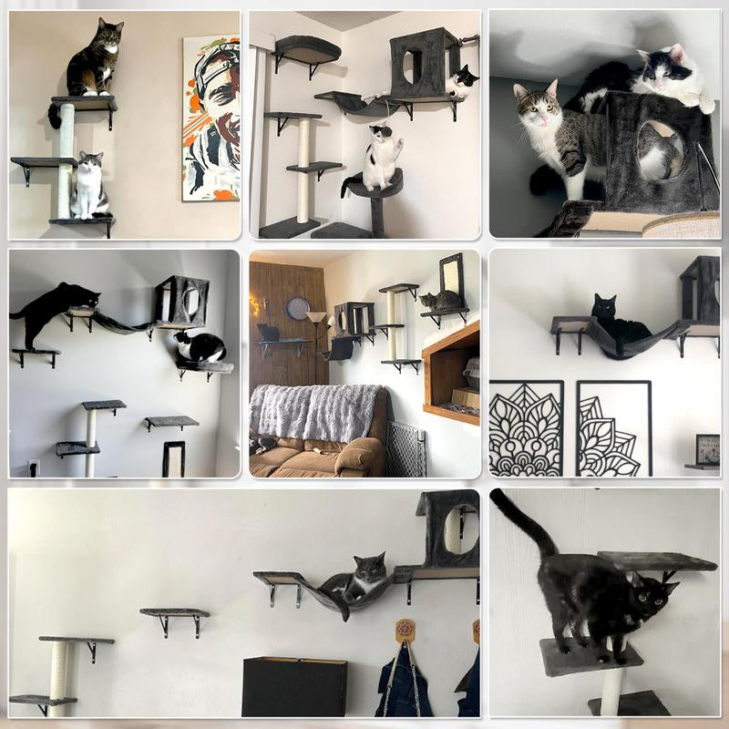 [Dealsforyoudays]Springtok-Cat Wall Shelves, 6 Pcs Luxury Wall-Mounted Cat Climber Set, Indoor Cat Furniture with 1 Cat Condos House, 2 Cat Wall Shelves, 1 Cat Scratching Post, 1 Cat Bridge Ladder